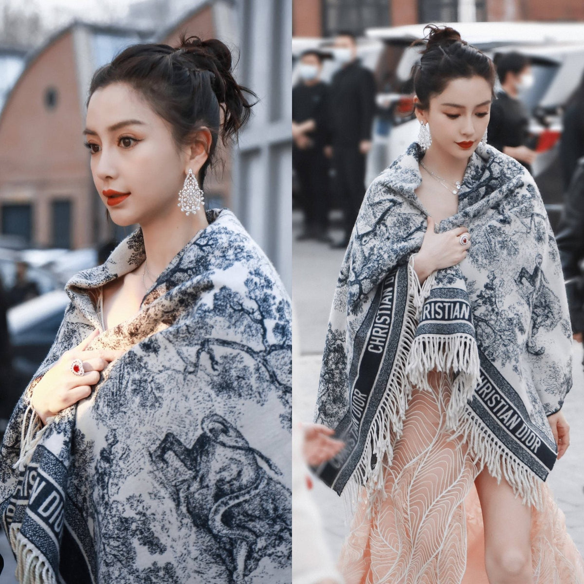 Dior Navy Toile Fringed Shawl